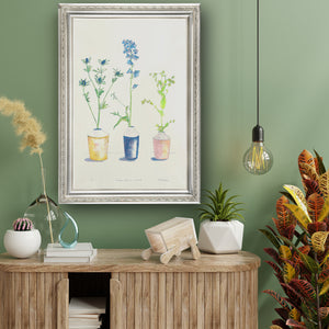 Erygnium, Delphinium, Euphorbia