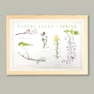 Nature Study - Spring - Silkscreen