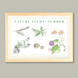 Nature Study - Summer - Silkscreen