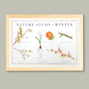Nature Study - Winter - Silkscreen