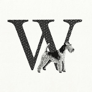 W for Wire-Haired Fox Terrier