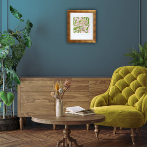 Spring - Freckled Hellebore