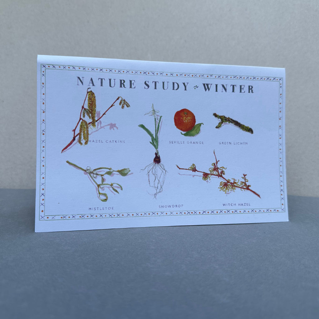 Nature Study - Winter Greetings Card