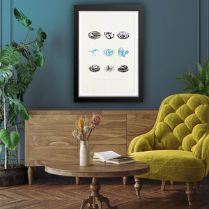 Nine Interesting Seaside Things - Silk Screen