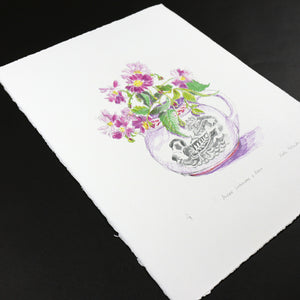 Sussex Lustreware & Roses