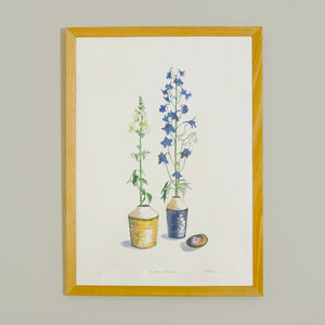 Snapdragon & Delphinium