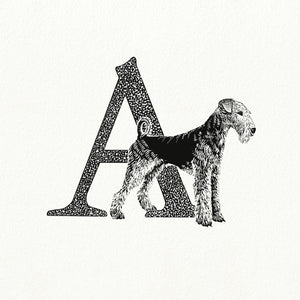 A for Airedale Terrier