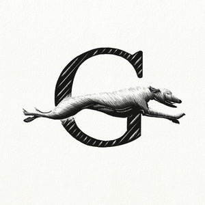 G for Greyhound