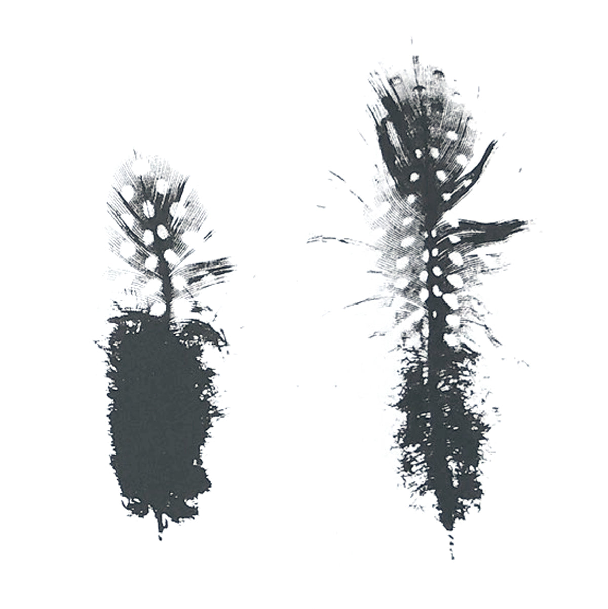 Fingle Bridge to Moretonhampstead