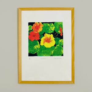 Nasturtiums 1