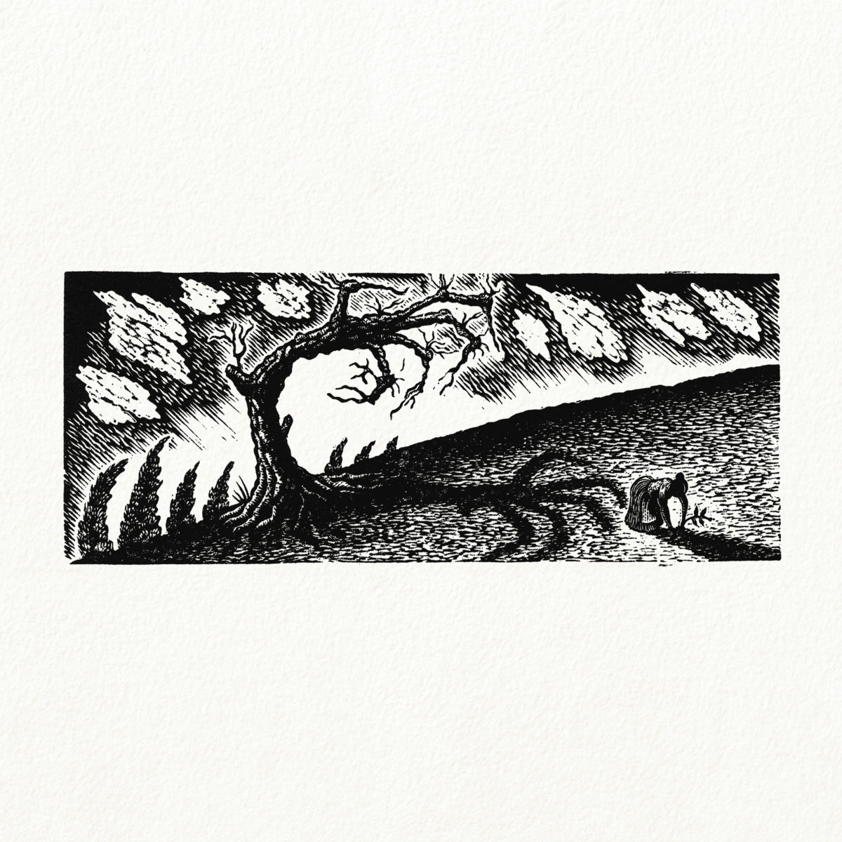 Shreiks Like Mandrake