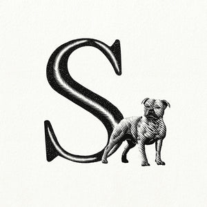 S for Staffordshire Bull Terrier