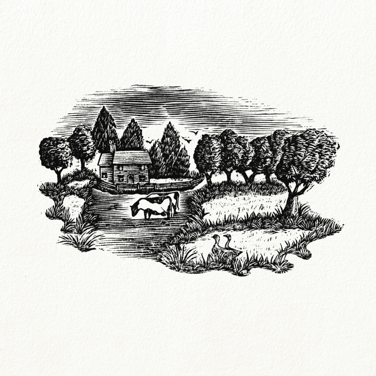 When The Day is Young and Sweet