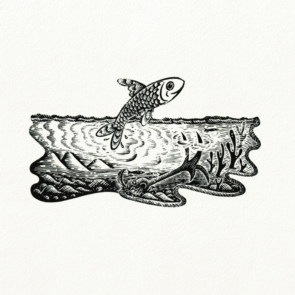 Why Swim When You Can Fly?