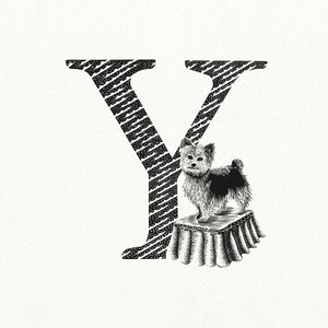 Y for Yorkshire Terrier