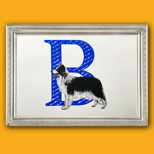 B for Border Collie