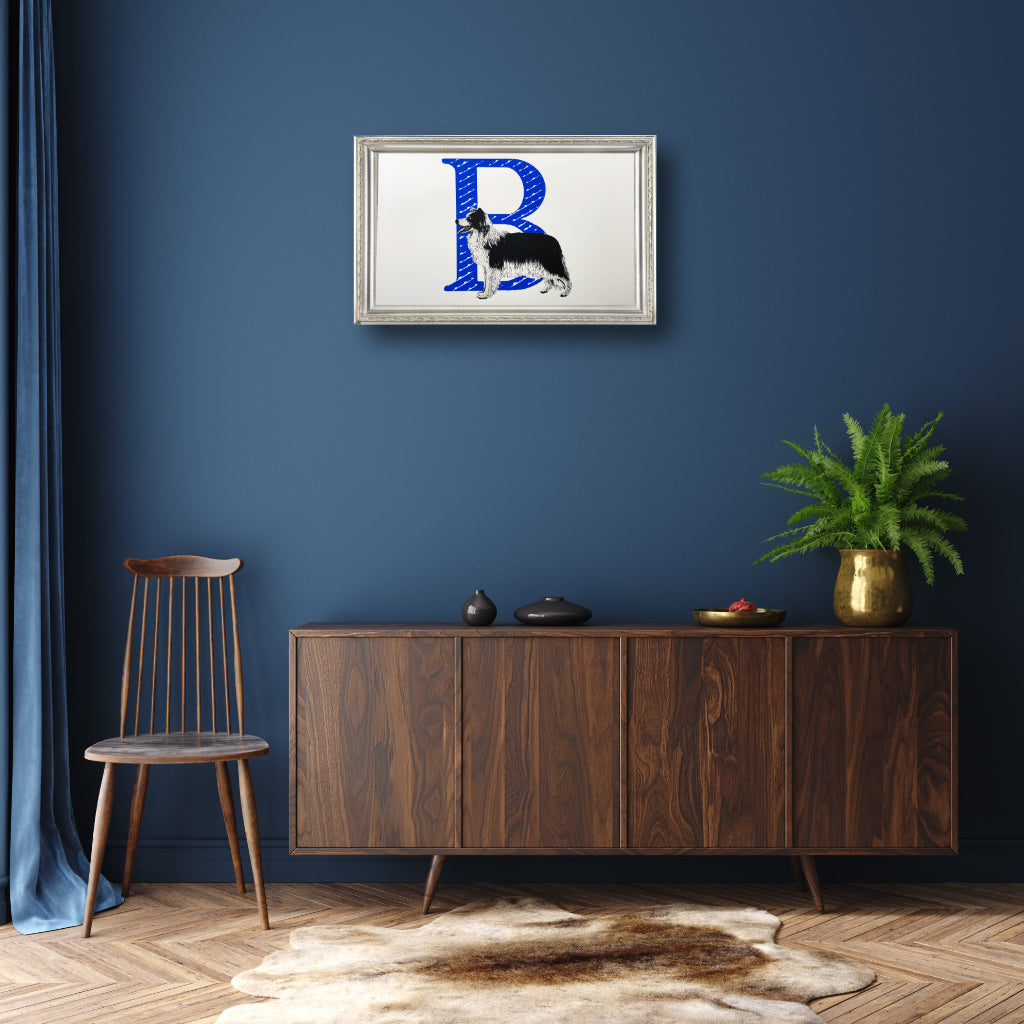 B for Border Collie