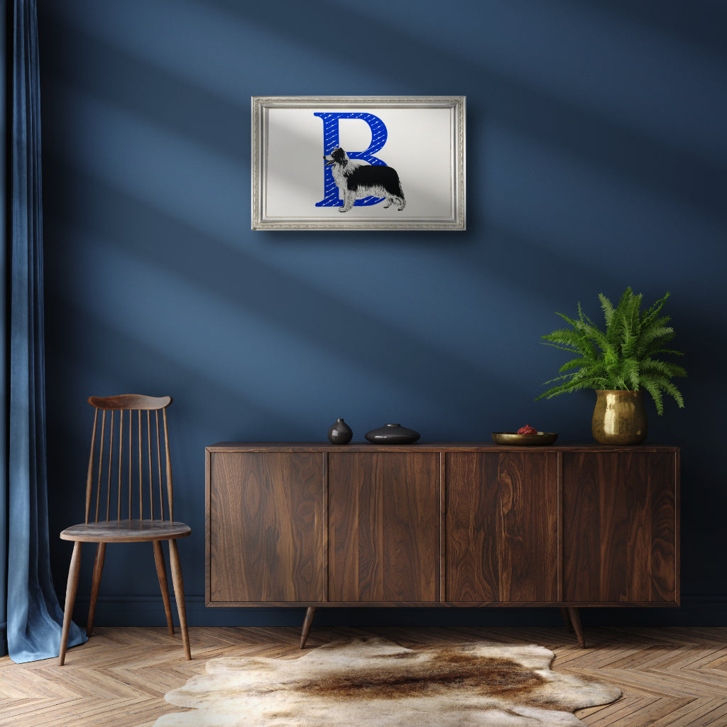 B for Border Collie