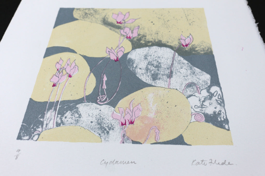 Autumn - Cyclamen in pebbles