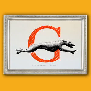 G for Greyhound