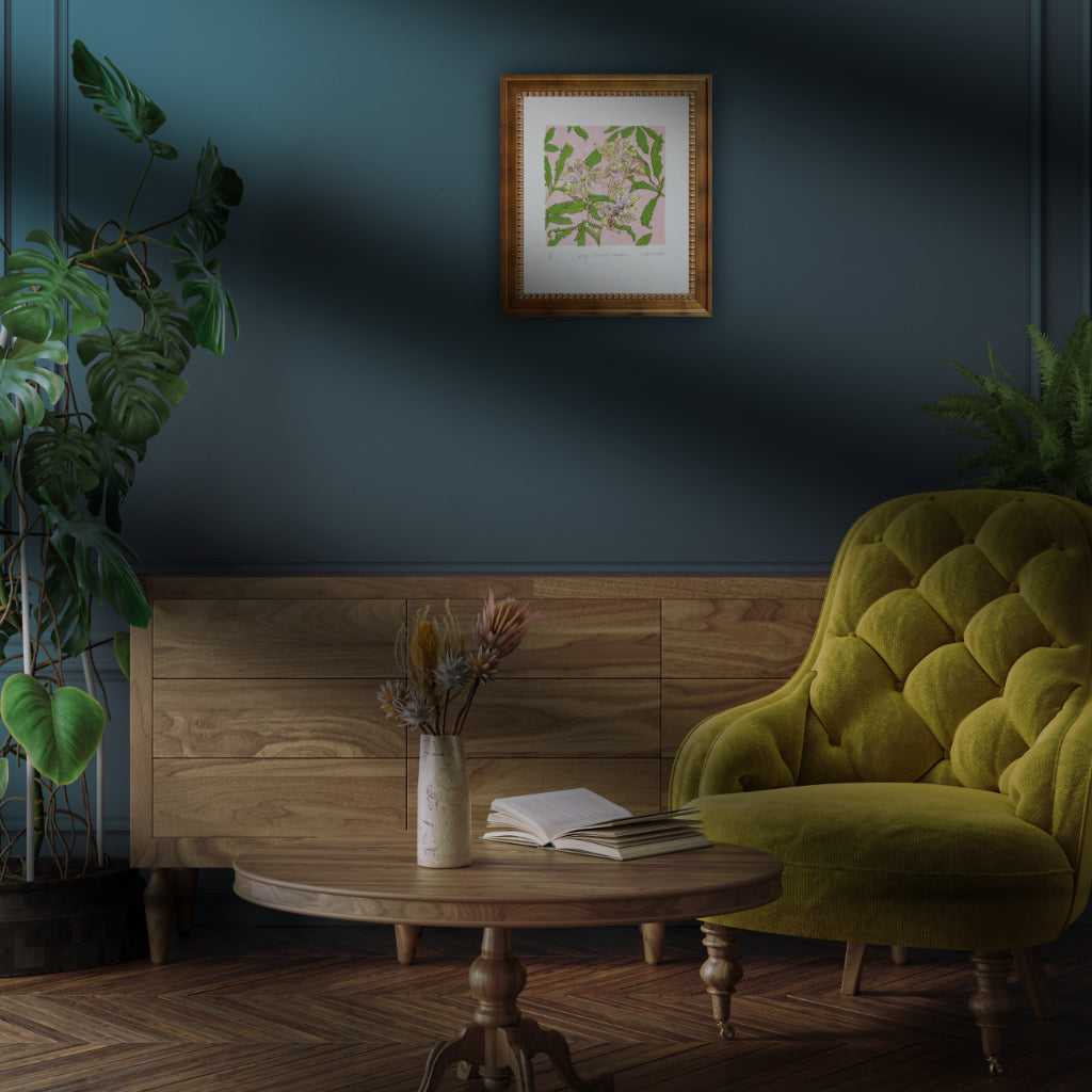 Spring - Freckled Hellebore