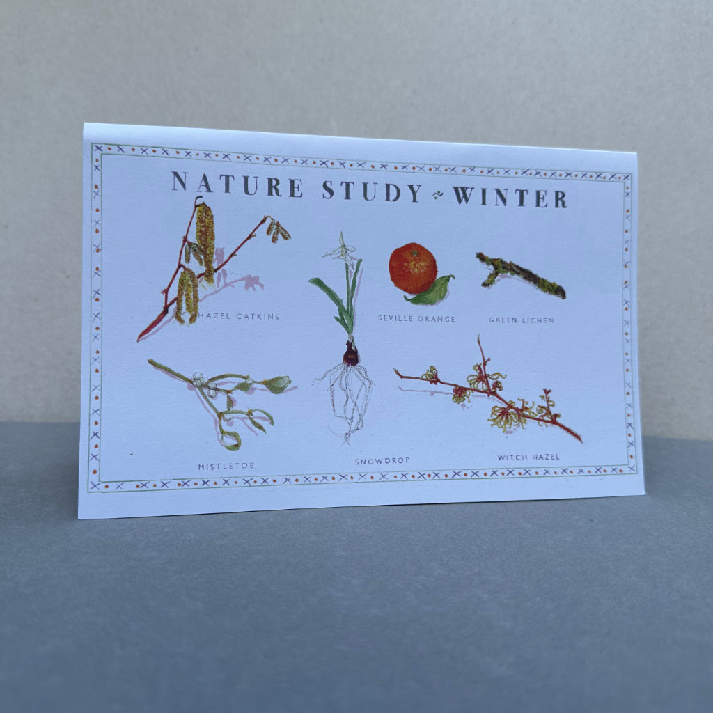 Nature Study - Winter Greetings Card