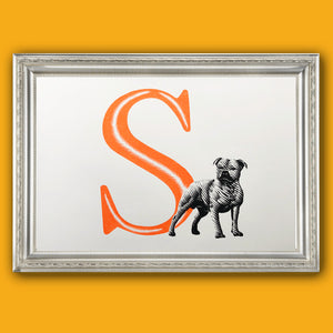 S is for Staffordshire Bull Terrier