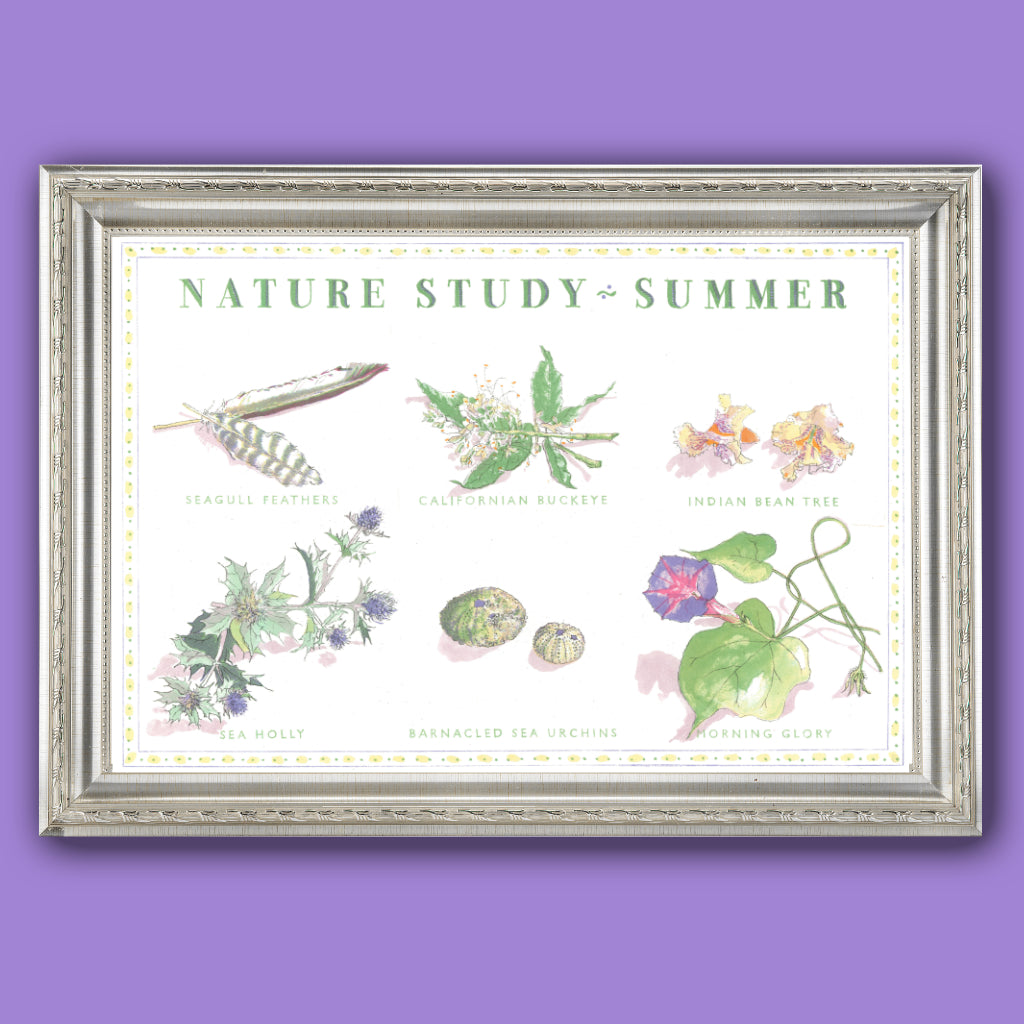 Nature Study - Summer - Silkscreen