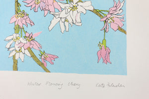 Winter - Winter-flowering Cherry