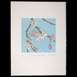 Winter - Winter-flowering Cherry