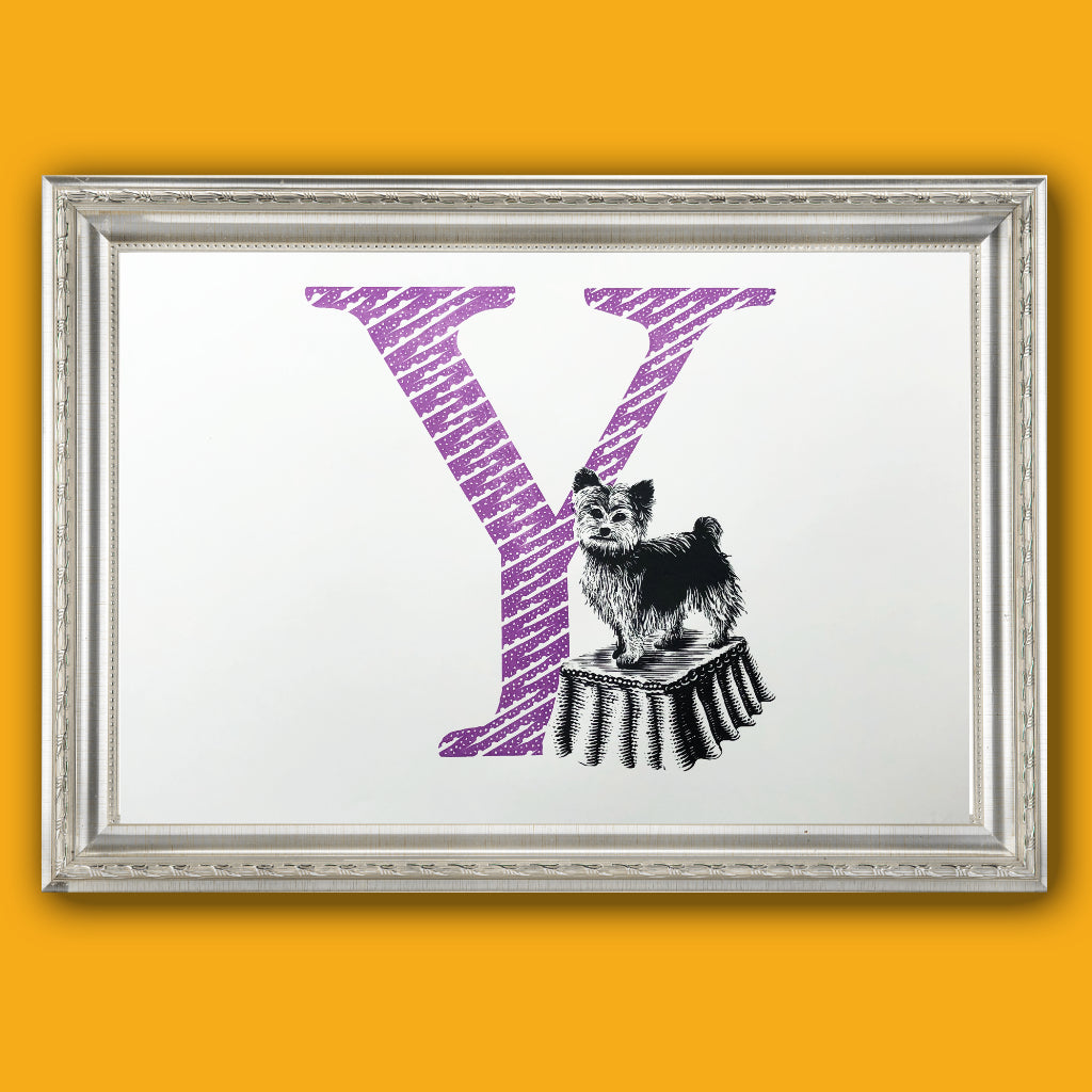 Y for Yorkshire Terrier