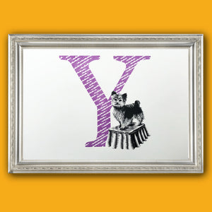 Y for Yorkshire Terrier