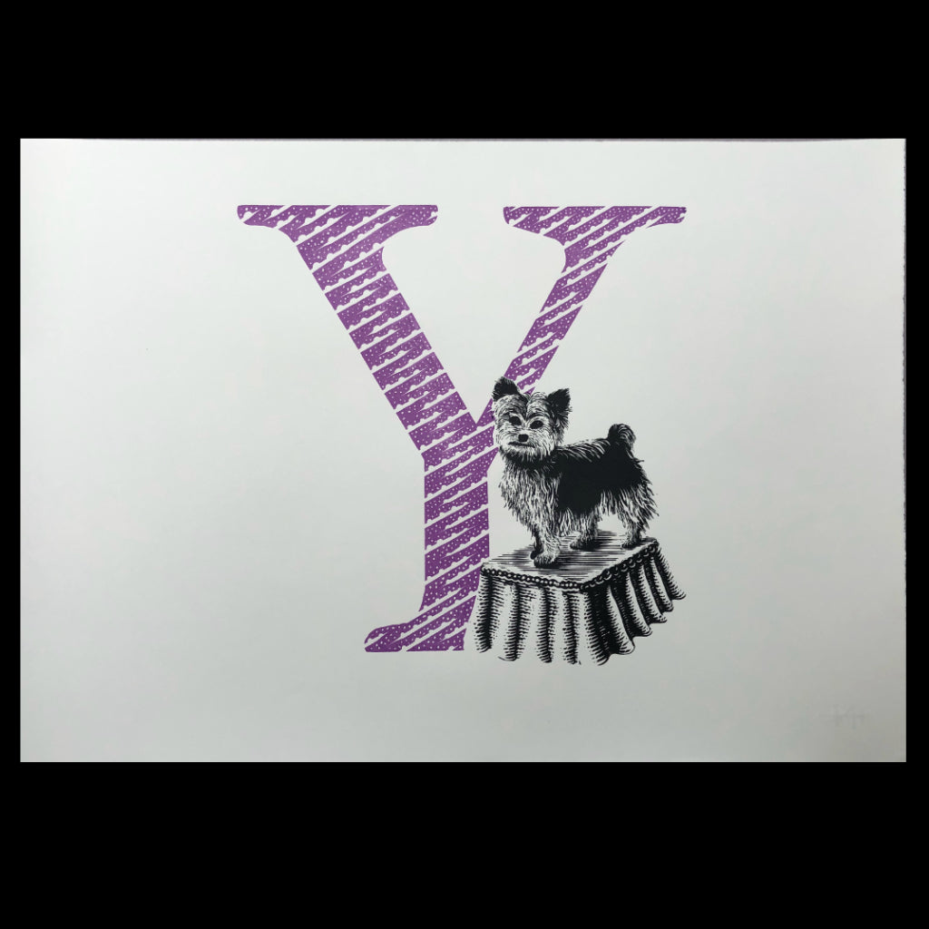 Y for Yorkshire Terrier